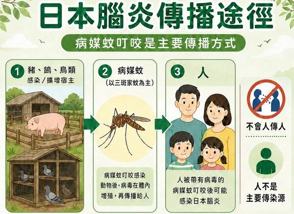 桃園新增2例日本腦炎病例 衛生局啟動防疫機制 | ETtoday地方新聞 | ETtoday新聞雲