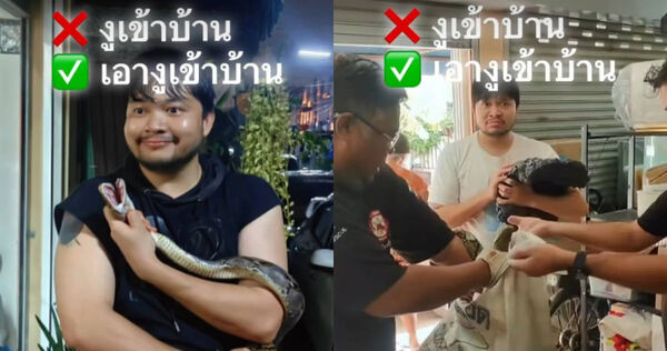 拉查塔酒後將野生蟒蛇抱回家，隔天酒醒看見救援人員上門一臉茫然。（圖／翻攝自IG／@tracha_a）