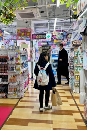 ▲▼東京自由行。（圖／部落客飛天璇的口袋授權提供）