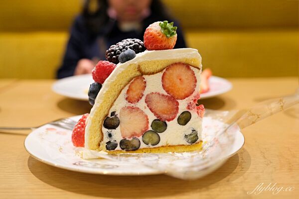 ▲▼東京自由行。（圖／部落客飛天璇的口袋授權提供）