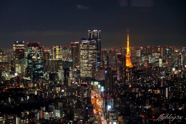 ▲▼東京自由行。（圖／部落客飛天璇的口袋授權提供）