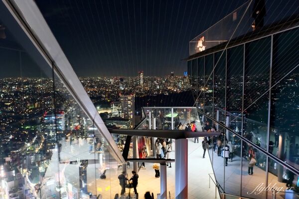 ▲▼東京自由行。（圖／部落客飛天璇的口袋授權提供）