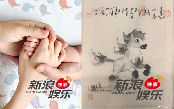 ▲▼湯唯順利生產！二胎性別曝光　朋友圈報喜曬一家四口牽手照。（圖／翻攝自微博／新浪娛樂）