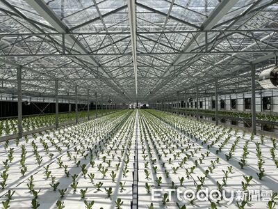 巴威颱風造成烏溪線三鄉鎮農業設施災損 農業部現金救助申請至8/5
