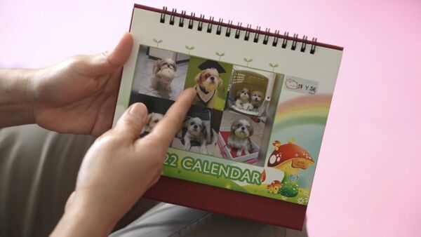 ▲▼獨眼小西施「阿飆」走完十年旅程，台灣動物緊急救援小組守護到最後一刻。（圖／台灣動物緊急救援小組提供）