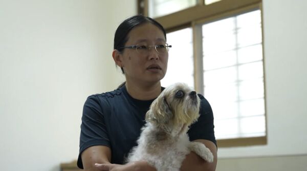 ▲▼獨眼小西施「阿飆」走完十年旅程，台灣動物緊急救援小組守護到最後一刻。（圖／台灣動物緊急救援小組提供）