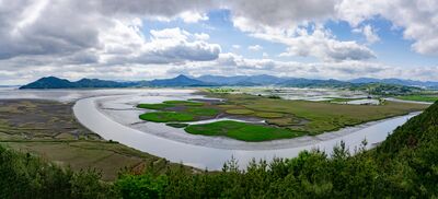 快訊/韓國「世界遺產」面積擴大!新增多地灘塗 保護候鳥生態