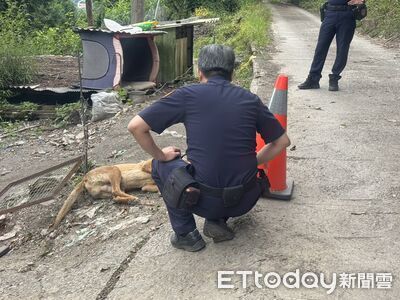 梨山竊嫌偷機車!大黃狗「骨頭碎了」被打死 警鎖定可疑嫌犯