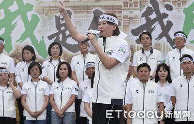 台派主張演貍貓換太子諷蔣 王鴻薇批:用大罷免手法辱北市民智商