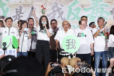 不是爛命一條!國民黨號召20萬人凱道怒吼 綠呼籲蔣盧回工作崗位
