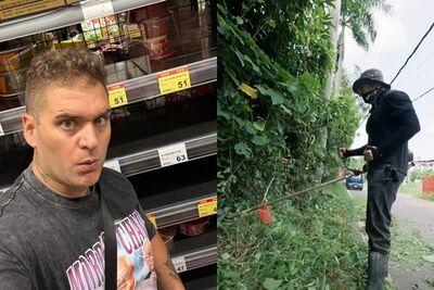 羨慕日本漂亮　英籍網紅「動手修剪雜草」：台灣輸在觀念！網讚爆