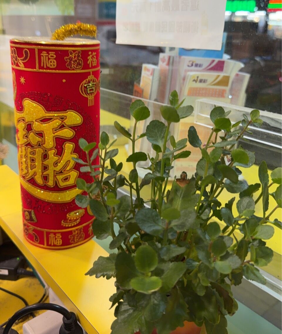 大樂透9億開出！彩券行曝3大招財法寶 附近投注站喜迎貳獎 | ETtoday財經雲 | ETtoday新聞雲