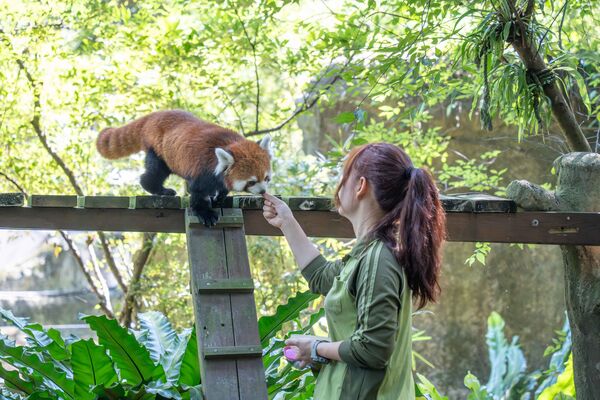 ▲。（圖／臺北市立動物園提供）