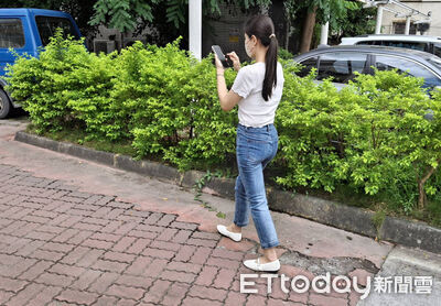 瘋「皮克敏」萬步孵花苗換膝蓋哀嚎?醫師曝痛源真相:別瞎猜