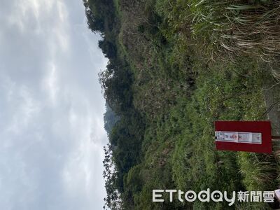 9萬起標！南投不動產聯合拍賣8/4登場　商業區百坪房地特別變賣
