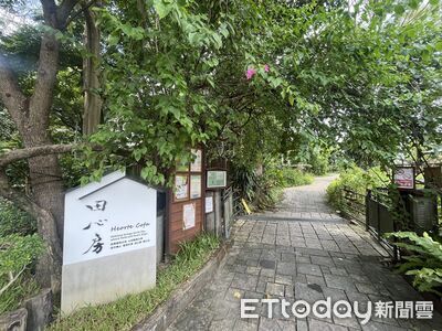 台大「隱藏版咖啡廳」　窗景看綠意農田、餵魚超療癒