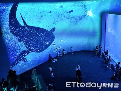 台中海洋館簽署MOU 日本大師級團隊操刀「打破觀展隔閡」