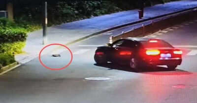 淩晨叫代駕!10分鐘路程「司機開1小時」乘客卻大讚:做得好