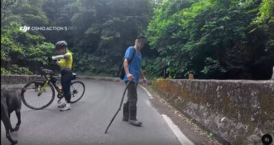 5隻狗未牽繩衝車道!女騎士慘摔 飼主沒道歉嗆:看到狗本就該閃