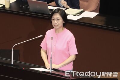 翁曉玲被形容中國大媽 「Chinese Dama」一詞來由曝!曾紅遍國際