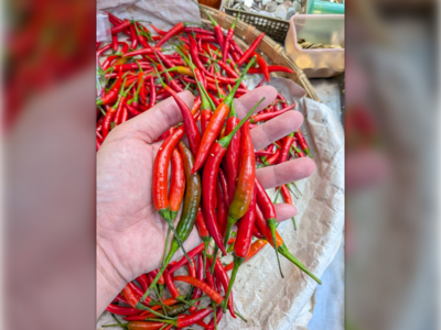沒颱風！小辣椒價格卻翻漲　菜販曝「貨卡在海關」：跟毒油案有關