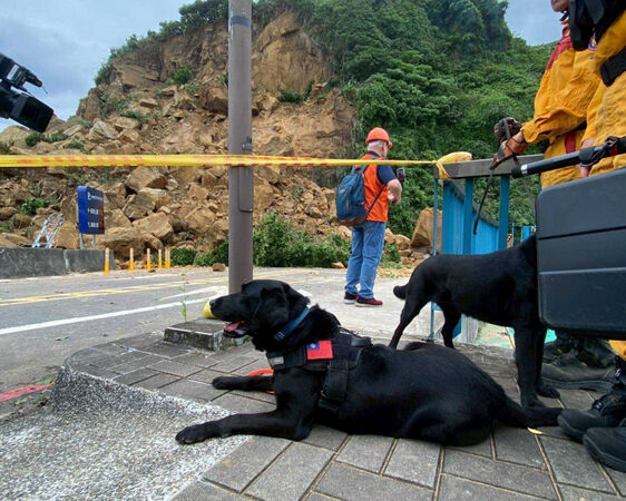 毛英雄下班了！　北市消防局開放2隻退役搜救犬寄養