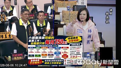 台南電子鞭炮機使用率僅9.3% 林燕祝促公開數據改善閒置