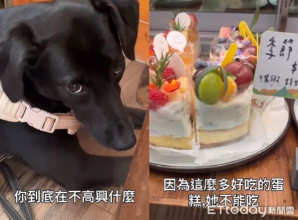 ▲。（圖／有點毛毛的/Dory來了）