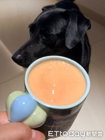 ▲。（圖／有點毛毛的/Dory來了）