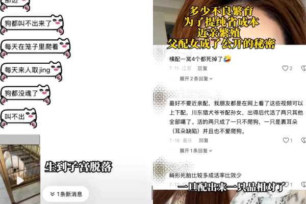 ▲▼網紅曝「中國殘忍繁殖場」震驚全網。（圖／翻攝自陸抖）