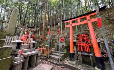 京都伏見稻荷大社完整攻略!8個必排行程 2.5小時走完神山