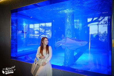 古坑餐廳藏巨型水槽養鯊魚魟魚 邊賞魚群邊吃現撈海鮮