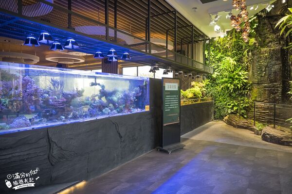▲▼八斗子海鮮餐廳打造夢幻大水槽，邊賞魚群邊享海鮮盛宴。（圖／《滿分的旅遊札記》授權提供）
