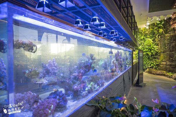 ▲▼八斗子海鮮餐廳打造夢幻大水槽，邊賞魚群邊享海鮮盛宴。（圖／《滿分的旅遊札記》授權提供）