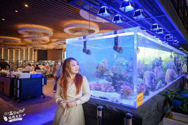 ▲▼八斗子海鮮餐廳打造夢幻大水槽，邊賞魚群邊享海鮮盛宴。（圖／《滿分的旅遊札記》授權提供）