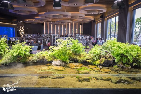 ▲▼八斗子海鮮餐廳打造夢幻大水槽，邊賞魚群邊享海鮮盛宴。（圖／《滿分的旅遊札記》授權提供）