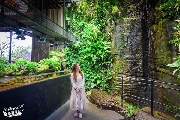 ▲▼八斗子海鮮餐廳打造夢幻大水槽，邊賞魚群邊享海鮮盛宴。（圖／《滿分的旅遊札記》授權提供）