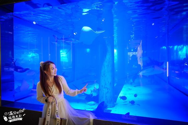 ▲▼八斗子海鮮餐廳打造夢幻大水槽，邊賞魚群邊享海鮮盛宴。（圖／《滿分的旅遊札記》授權提供）