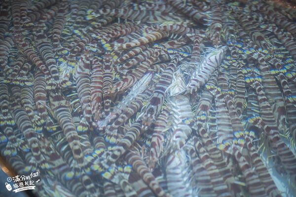 ▲▼八斗子海鮮餐廳打造夢幻大水槽，邊賞魚群邊享海鮮盛宴。（圖／《滿分的旅遊札記》授權提供）