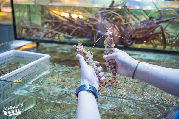 ▲▼八斗子海鮮餐廳打造夢幻大水槽，邊賞魚群邊享海鮮盛宴。（圖／《滿分的旅遊札記》授權提供）