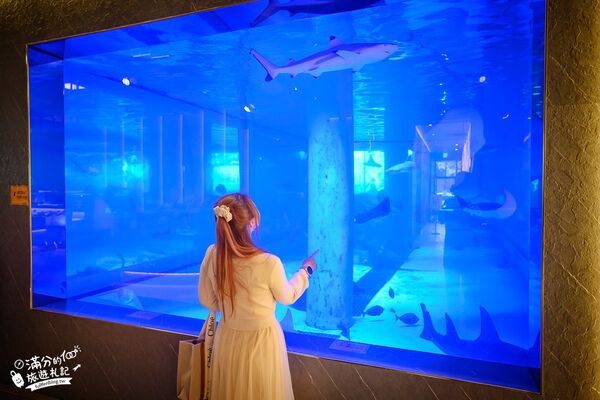 ▲▼八斗子海鮮餐廳打造夢幻大水槽，邊賞魚群邊享海鮮盛宴。（圖／《滿分的旅遊札記》授權提供）
