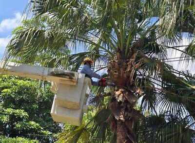 白海豚颱風來襲 台電桃園區處全力戒備防颱