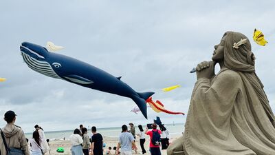 苗栗通霄沙雕節「父親節賞風箏展演」