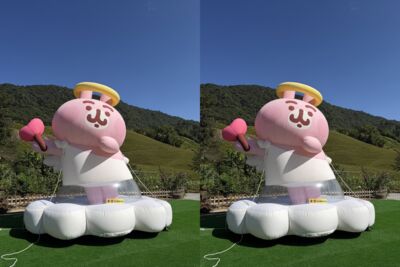 赤科山金針花季看卡娜赫拉粉色氣偶