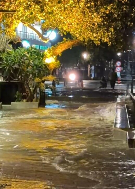 ▲▼白海豚逼近！淡水沿岸「海水湧上步道」。（圖／網友提供，請勿隨意翻拍，以免侵權。）