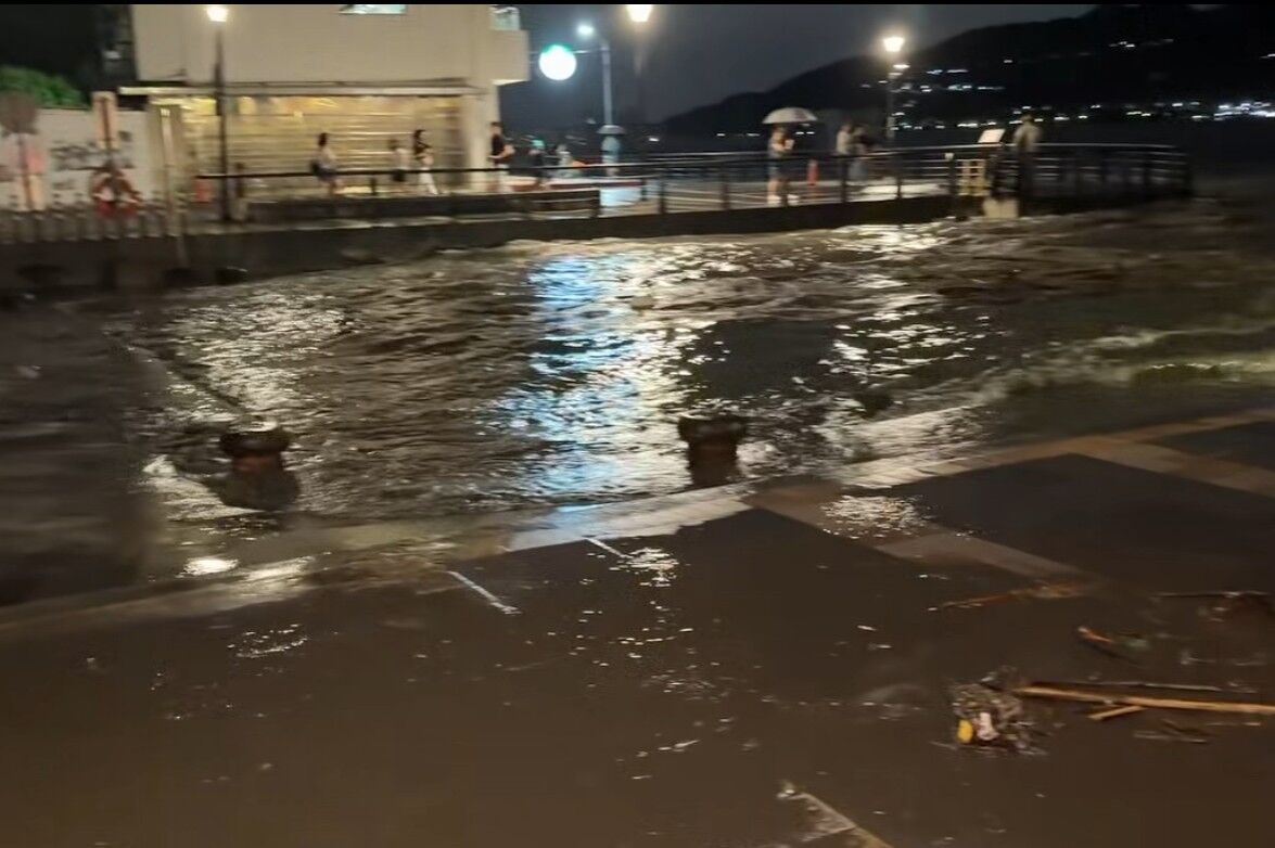 ▲▼白海豚逼近！淡水沿岸「海水湧上步道」。（圖／網友提供，請勿隨意翻拍，以免侵權。）
