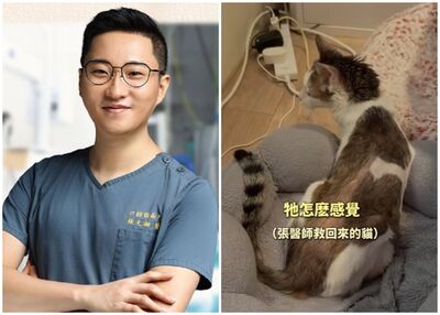 牙醫張元瀚猝逝　愛貓3個月後也走了！妻悲：牠的難過不比我們少