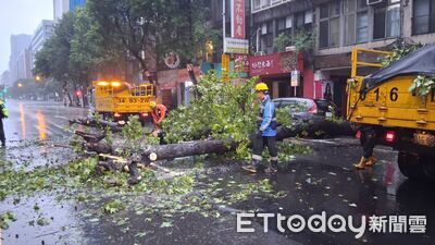 中颱白海豚擦邊掀狂風！北市連爆路樹倒塌　大安大同中山區傳災情