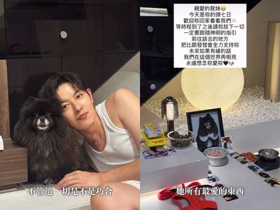 敖犬為愛犬辦頭七！玄關撒粉等腳印　出現奇蹟淚謝：連最後都可愛
