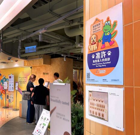 ▲▼香港餐廳「禁狗令」解除滿月　逾980家開放毛孩入內。（圖／翻攝食環署）
